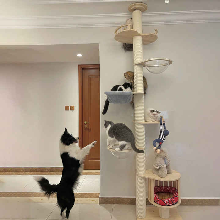 Petdom Large Cats Trees Play Furniture Scratcher Modern Cat Ceiling Tree Tower Multi-Layer Cat Climbing Frame Tree