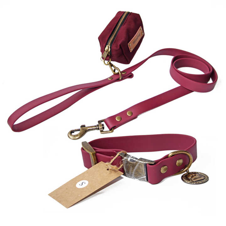 New Designer Luxury Waterproof Pvc Custom Dog Collar and Leash Set Personalized with Poop Bag