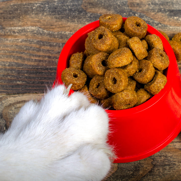 Dog bowls